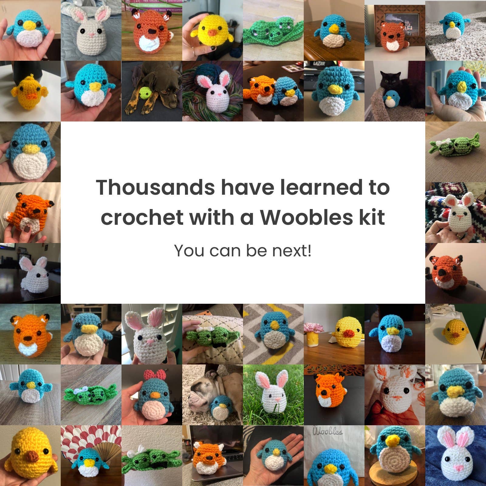 Kit De Crochet The Woobles - Jojo The Bunny (lapin) - Édition Exclusive Barnes And Noble